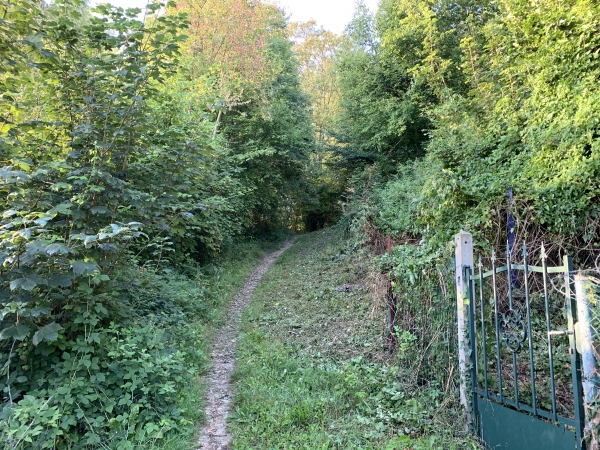 L'impasse du Nid de Chien devient un chemin et entre dans le Bois Bagnères.