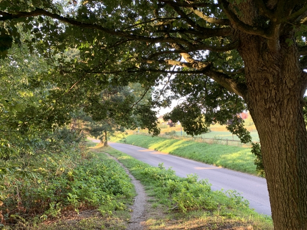 Le GR25b est parfaitement aménagé à Bonsecours, et nous laisse en dehors des routes.