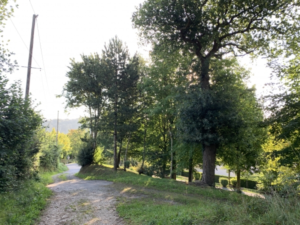 Arrivée dans la vallée de l'Aubette à St-Léger-du-Bourg-Denis. Le GR va se diviser en GR25b et GR25c. Nous restons fidèle au premier, et allons remonter le Val-aux-Daims en direction du Mesnil-Esnard.