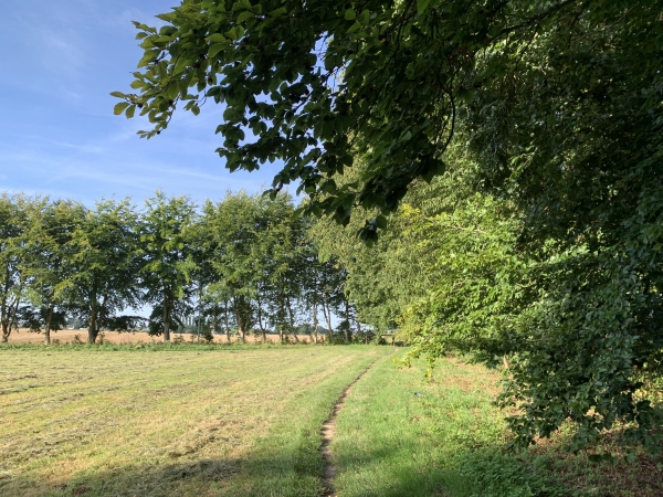Nous sortons du bois au Mesnil-Esnard près du château du Val-aux-Daims.