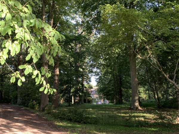 Derrière les arbres, le château du Val-aux-Daims.