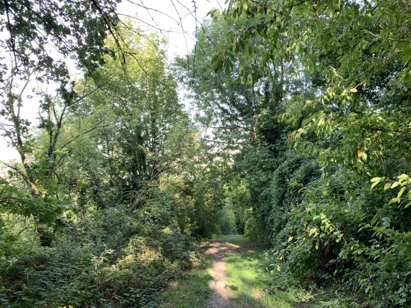 Nous suivons le GR2RD et descendons vers la voie de l'ancien tramway.