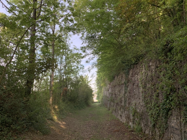 ligne du tramway Rouen-Bonsecours.