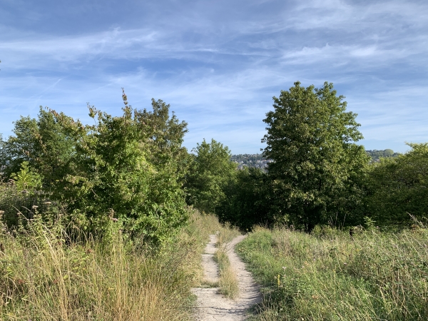 Nous descendons la Côte Sainte-Catherine par ce chemin qui va nous conduire jusqu'à notre point de départ.