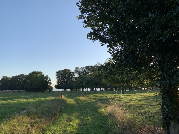Nous traversons les vergers et prairies du Mont Coquerel, sur le chemin du Mont Robert.