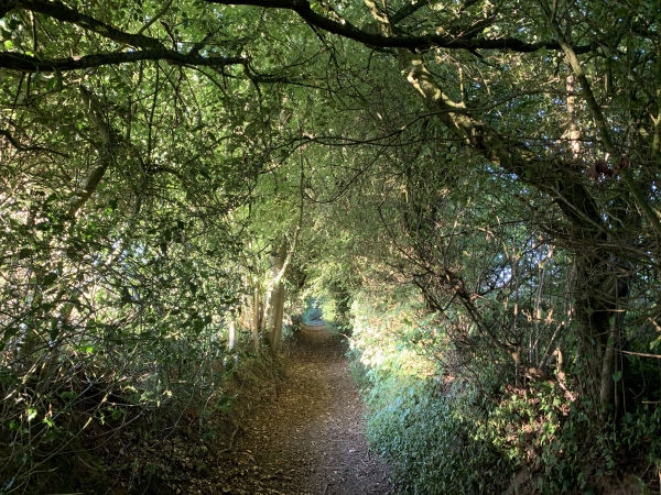 Nous descendons en direction de Merval.