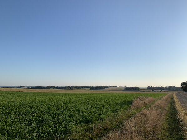 Merval, chemin du Mont Robert.