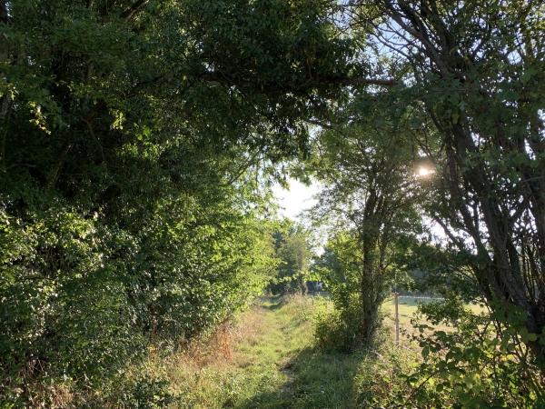 Nous arrivons sur le chemin vers la Vigne. Nous sommes ravis de le voir en si bon état, nous l'avons connu inondé de manière chronique.