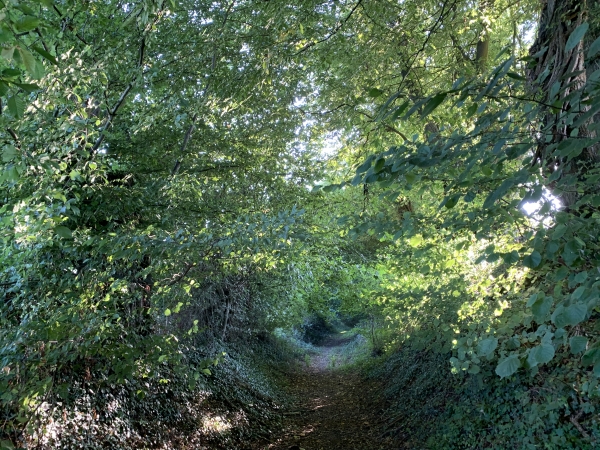 Chemin vers la Vigne, coulée verte entourée de plaines.