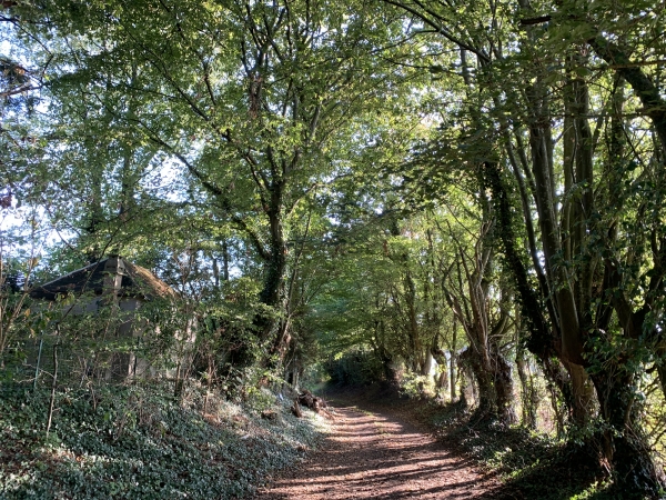 Nous arrivons à la Vigne. Nous allons tourner vers les Retourets.