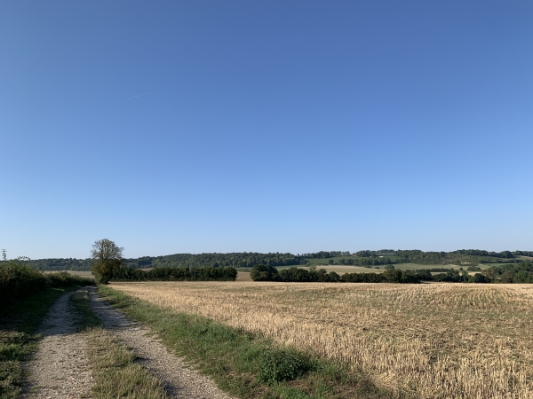 Nous sommes au Haut-Durand, notre chemin domine la plaine de Brémontier-Merval.