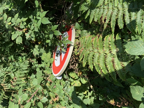 Dans les fougères nous trouvons le panneau qui nous prouve que nous ne faisons pas erreur : le chemin est bien là ! Il a totalement disparu sous les fougères, mais aussi sous les ronces. Nous aurions dû descendre un peu vers le sud pour entrer en forêt par la route forestière du Pavillon. C'est étonnant que ces chemins qui sont des coupe-feux soient si peu entretenus dans une forêt domaniale !