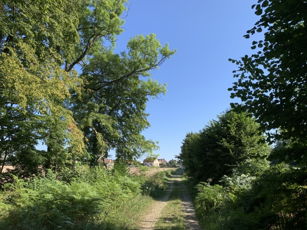 Nous sommes maintenant sur la route forestière des Acres, et nous la suivons pour sortir de la forêt domaniale de Lyons. Nous allons suivre la rue Pihan de Beauvoir-en-Lyons, en direction de la table d'orientation.