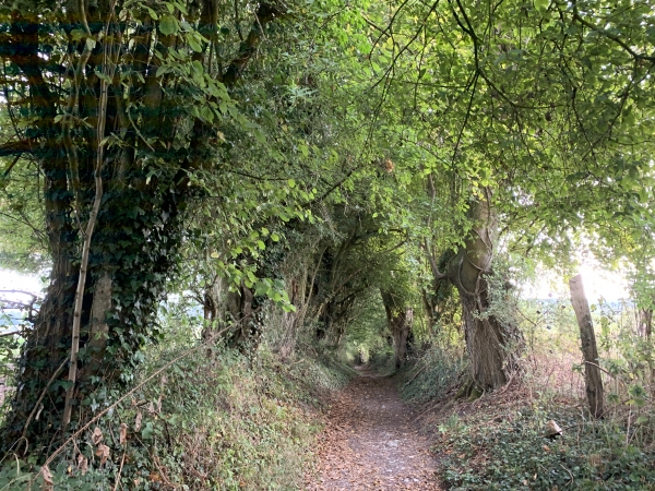 Nous suivons le chemin creux qui devient, plus loin, l'impasse du Chemin.