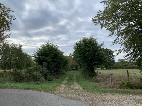 L'impasse de la Boulleaudière devient un chemin qui s'enfonce dans les anciens marais qui ont protégé le château de La Ferté des attaques d'Henri 1er d'Angleterre. Le chemin est recouvert d'un empierrement très ancien, mais plusieurs chemins des marais sont impraticables en période de pluies.