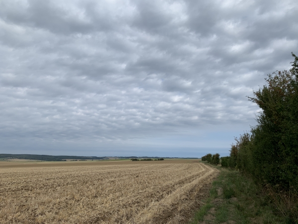 Nous sommes maintenant sur le chemin des Nouroux qui domine les plaines agricoles d'Argueil et de La Ferté.