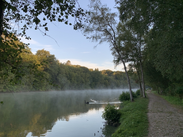 Il n'y a que nous sur ce chemin qui longe les étangs, et on a un peu l'impression de déranger la faune locale.