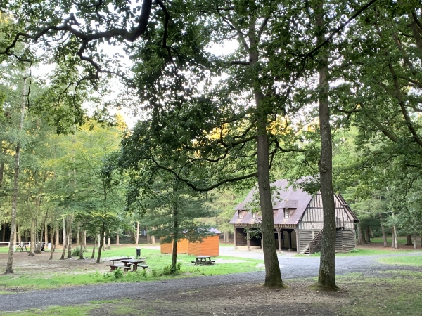 Abri et aire de pique-nique en bordure de l'avenue Mathilde, dans le bois de l'Epinay.