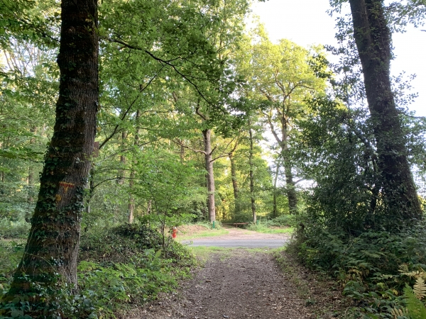 Nous arrivons à la route du Bois de Léon, nous allons la suivre sur la gauche jusqu'à la rue de l'Abbaye.