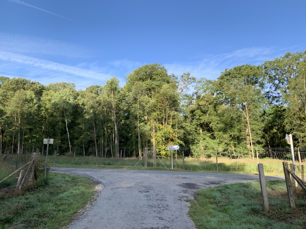 Nous arrivons à la D102, rue de l'Abbaye (en référence à l'ancienne abbaye de Beaubec). Nous allons la suivre à gauche sur quelques dizaines de mètres. Nous passerons devant l'ancien hippodrome de Beau Soleil. Dans Gallica.bnf.fr, nous avons trouvé un article du Figaro du 9 octobre 1912 qui parle de cet hippodrome : "Sur l'hippodrome de Beau-Soleil, ont eu lieu ces jours derniers, les deux réunions de courses de Laval. Malgré une pluie désastreuse qui a contrarié les épreuves, l'assistance au pesage et dans les tribunes était des plus élégantes. Nous y avons reconnu Le comte d'Elva, sénateur, la comtesse et Mlles d'Elva, le comte, comtesse et Mlle de Montferré, etc..." Désormais l'hippodrome n'est plus qu'un herbage qui accueille une dizaine de vaches.