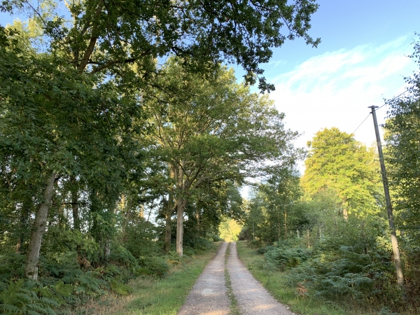 Nous suivons maintenant le chemin de Beau-Soleil.