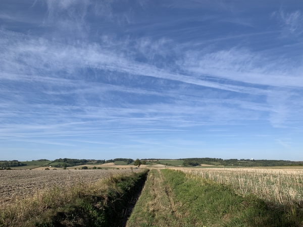 Nous arrivons au sommet de la colline entre la Cavée et Roncherolles-en-Bray.