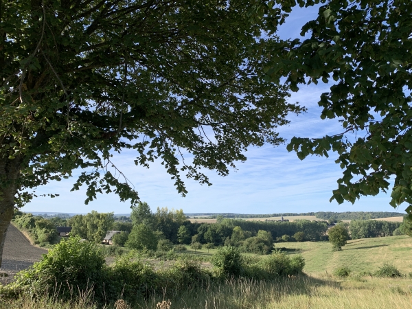 Chemin de la Croix du Vieux Bled, nous dominons le paysage de bocages de Roncherolles-en-Bray.
