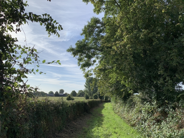 L'entrée de ce chemin est en contrebas de la route de Roncherolles, il ne faut pas la rater.