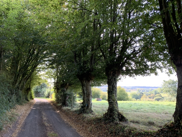 Chemin de Fretencourt à l'Epinay.