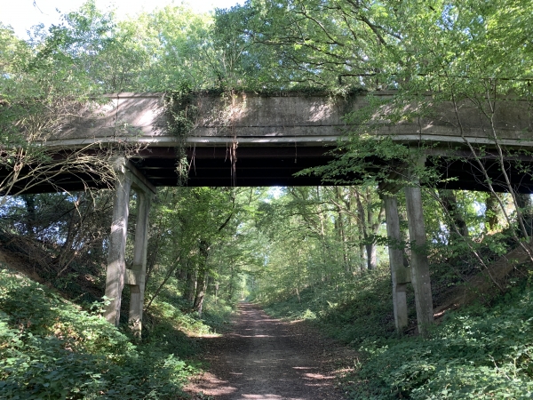 Nous passons sous une passerelle agricole dont l'état nous inquiète un peu. Nous passons rapidement.