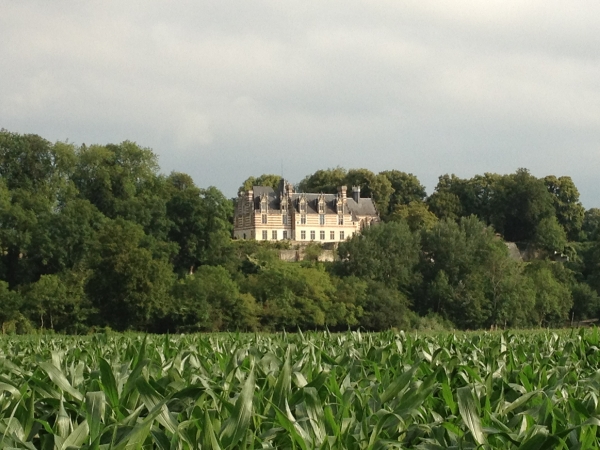 Voilà le château d'Etelan dans toute sa splendeur ! Château du XVe siècle de style gothique flamboyant, il domine la dernière boucle de la Seine. Il a accueillit Catherine de Médicis et le jeune Charles IX après le reconquête du Havre. Et c'est au château d'Etelan que Catherine de Médicis, régente, proclame, avec un an d'avance, la majorité du roi. En 1943, il accueille des enfants du Havre, ville bombardée par l'aviation alliée.