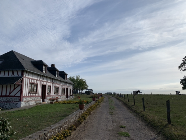 Le Catillon et les prairies de la Haye des Saules.