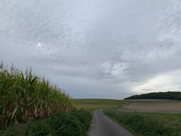 Nous suivons le Chemin des Chasse-Marées en direction du sud-est.