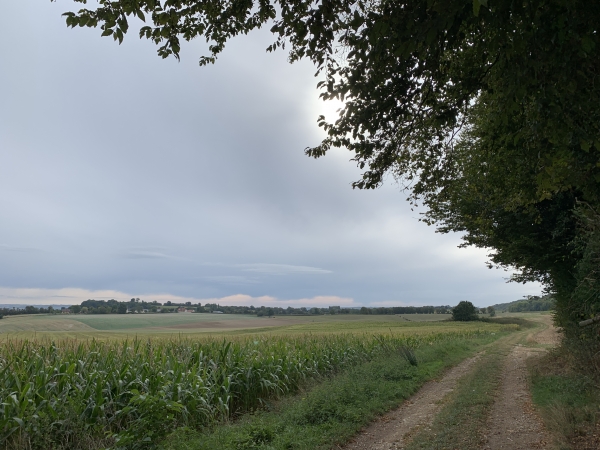 Après avoir croisé la N31, au sud d'Avesnes-en-Bray, le Chemin des Chasse-Marées devient un vrai chemin.
