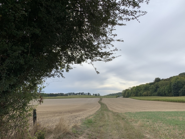 Avesnes-en-Bray, le Chemin des Chasse-Marées.