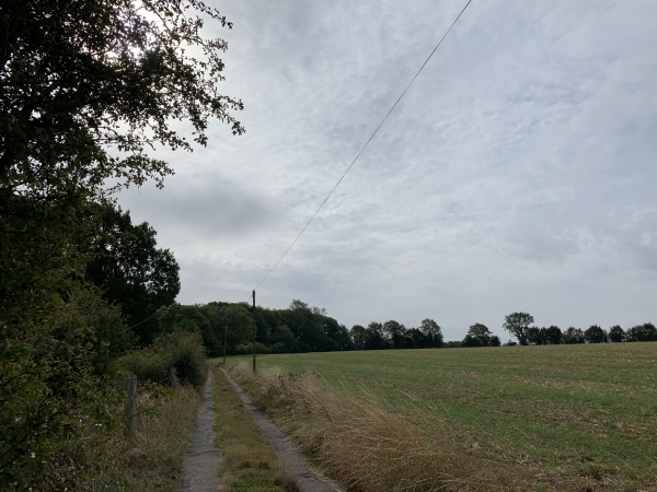 Nous montons sur la Côte Blanche, et suivons le chemin à son sommet.
