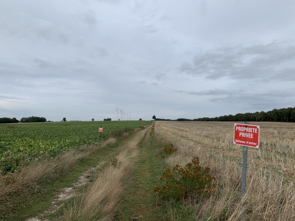 Surprise en arrivant à l'entrée de notre chemin le long du Bois de la Haute Haye. Nous sommes sur le territoire d'Avesnes-en-Bray. Deux panneaux indiquent "propriété privée". Nous nous demandons s'ils concernent les champs, mais c'est curieux de vouloir préciser qu'un champ est une propriété privée !