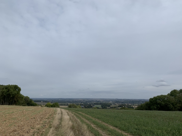 Nous descendons la colline en direction d'Elbeuf-en-Bray.