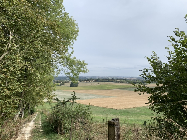 Notre chemin domine la plaine d'Elbeuf-en-Bray.