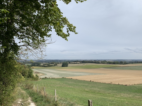 Notre chemin domine la plaine d'Elbeuf-en-Bray.