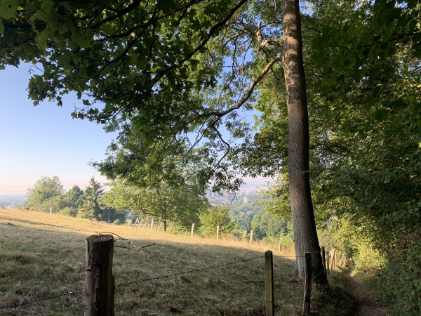 Chemin du Bois de la Salle, regard arrière vers ND-de-Gravenchon.