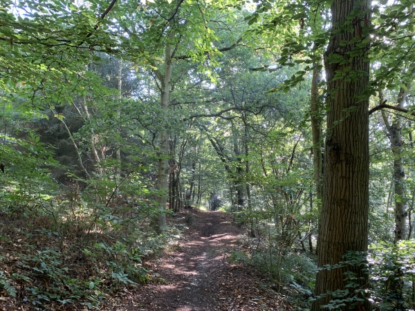 Nous suivons le GR2 sur la Côte aux Pigeons.