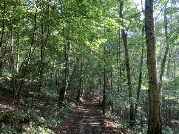 Nous suivons le GR2 sur la Côte aux Pigeons.