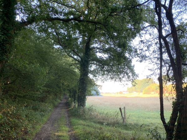 Fond des Hauts Binets, nous sommes toujours sur le GR2.