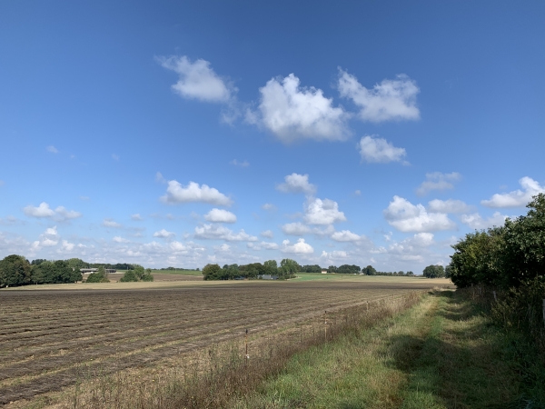 Nous sommes passés devant le château de Triquerville, caché derrière ses hautes futaies, et continuons notre traversée du plateau agricole.