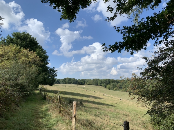 Le Haut-de-Gravenchon, chemin en lisière du Bois de la Salle. Nous allons descendre le Bois de la Salle pour retrouver notre point de départ.