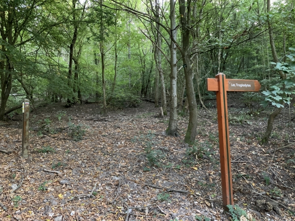 Nous quittons le GR2 pour suivre le chemin des grottes.