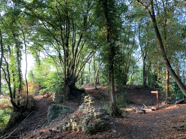 Site du château Fouet. Il n'existe aucun plan du château Fouet, mais on sait par des écrits de l'époque, qu'il comportait une chapelle, des chambres, des cuisines, des celliers, des étables et de hauts murs fortifiés. Le château sera ruiné en 1203 à la suite de la condamnation du frère de Richard Coeur de Lion, Jean de Mortain, par Philippe Auguste pour le meurtre de son neveu.