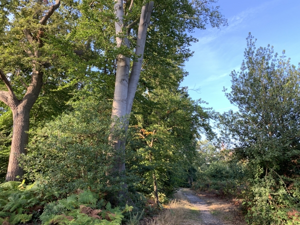 Nous sommes maintenant sur le chemin de crête et revenons vers l'ouest.