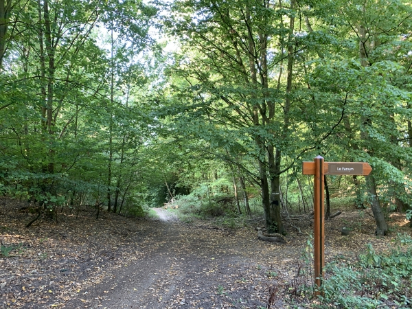Nous amorçons notre descente vers le bas de la colline. A droite, un panneau indique le Fanum, temple gallo-romain de plan carré. Le fanum est l'un des nombreux vestiges retrouvés sur l'oppidum d'Orival. A voir sur notre circuit Orival Nord.